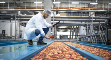Forschung und Entwicklung für die Lebensmittelindustrie