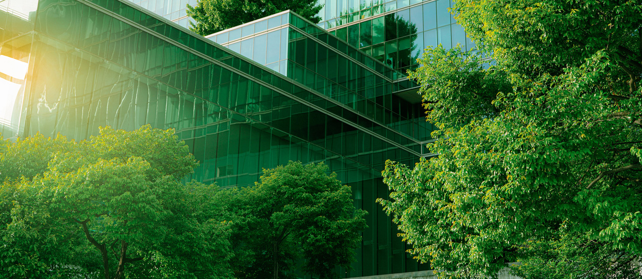 sustainable company