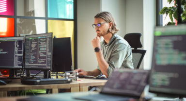 IT sector