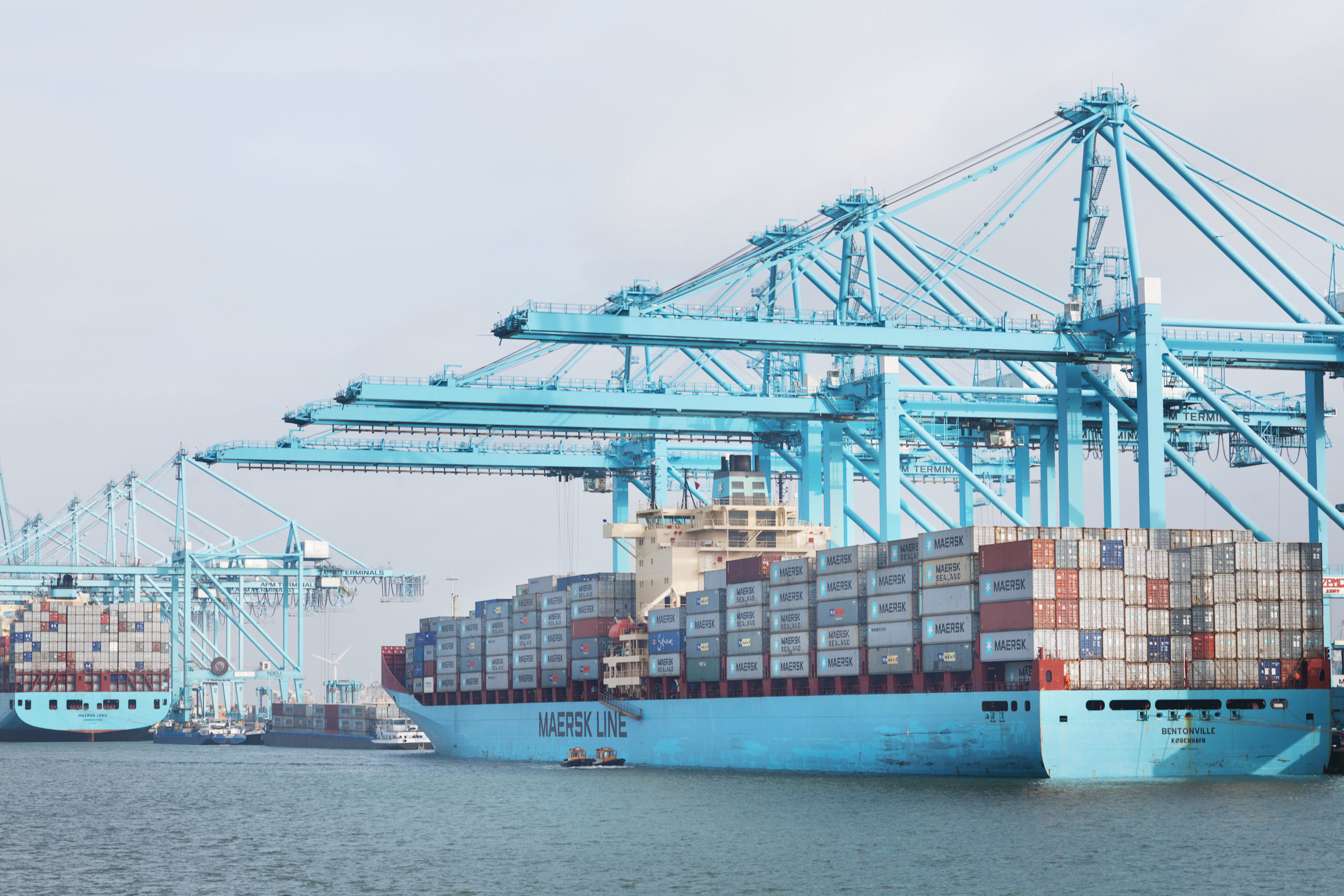 CEF-Transport