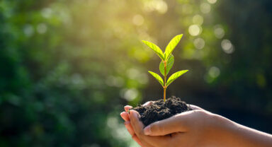 expertise sustainability