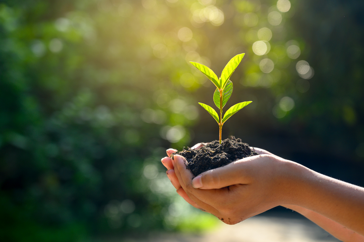 expertise sustainability