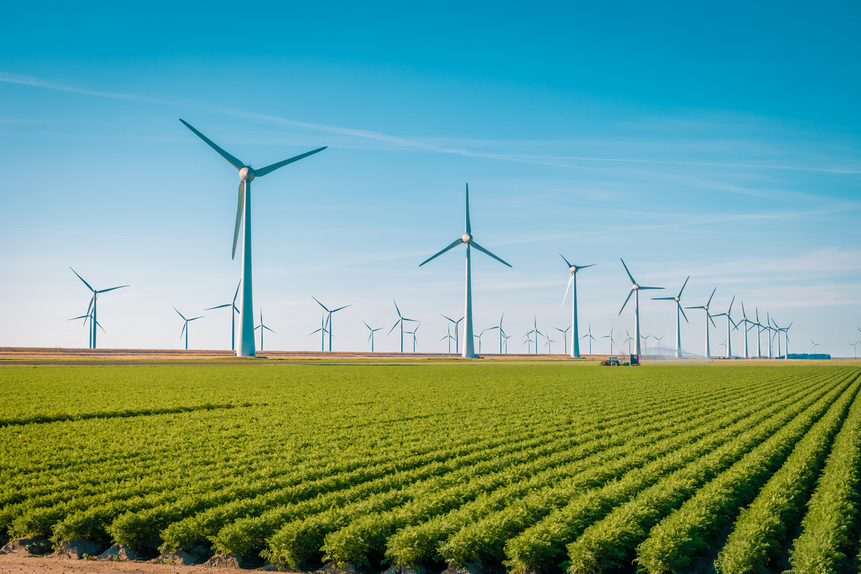 wind turbines on a field