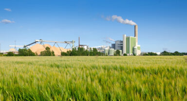 Förderhöhe der Klimaschutzverträge