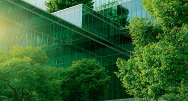 sustainable company